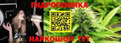 индика Усть-Илимск