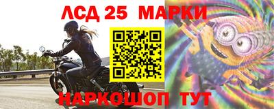 индика Усть-Илимск