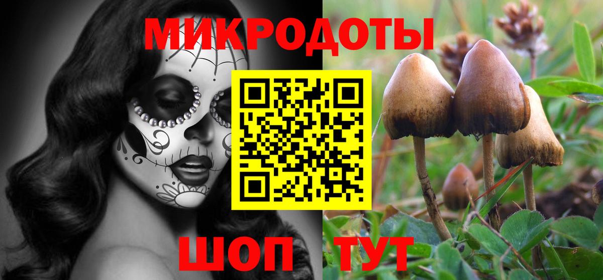 Галлюциногенные грибы Cubensis Азнакаево