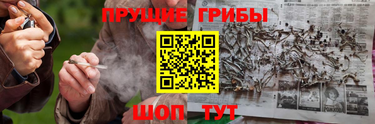Азнакаево  Галлюциногенные грибы Psilocybe  где продают наркотики  Вход с VPN 